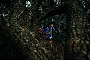 BIB: 
                            <button type="button" onclick="openModal(25690262)" class="btn btn-primary btn-sm float-right btn-popup" data-toggle="modal" data-target=".modal-high-quality">
                        <i class="fas fa-shopping-cart"></i> Add to Cart
                    </button>
                                            <button type="button" onclick="isThisMe(25690262, true)" class="btn btn-success btn-sm float-right btn-popup btn-isme hidden" data-toggle="tooltip" data-placement="bottom" title="นี่คือรูปของคุณใช่ไหม คลิกที่นี่เพื่อเอาเข้าอัลบั้ม">
                        <i class="fas fa-plus"></i> Add to album
                    </button>
                    <button type="button" onclick="isThisMe(25690262, false)" class="btn btn-warning btn-sm float-right btn-popup btn-isnotme hidden">
                        <i class="fas fa-ban"></i> Remove from album
                    </button>